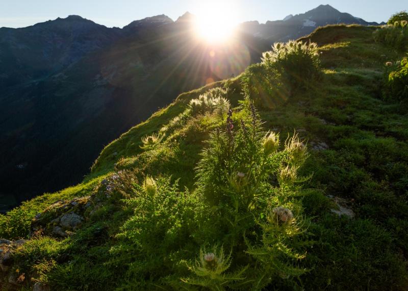 Der Nationalpark Stilfserjoch